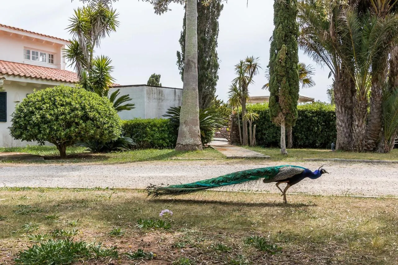 Villa Finca Son Temet Es Mercadal