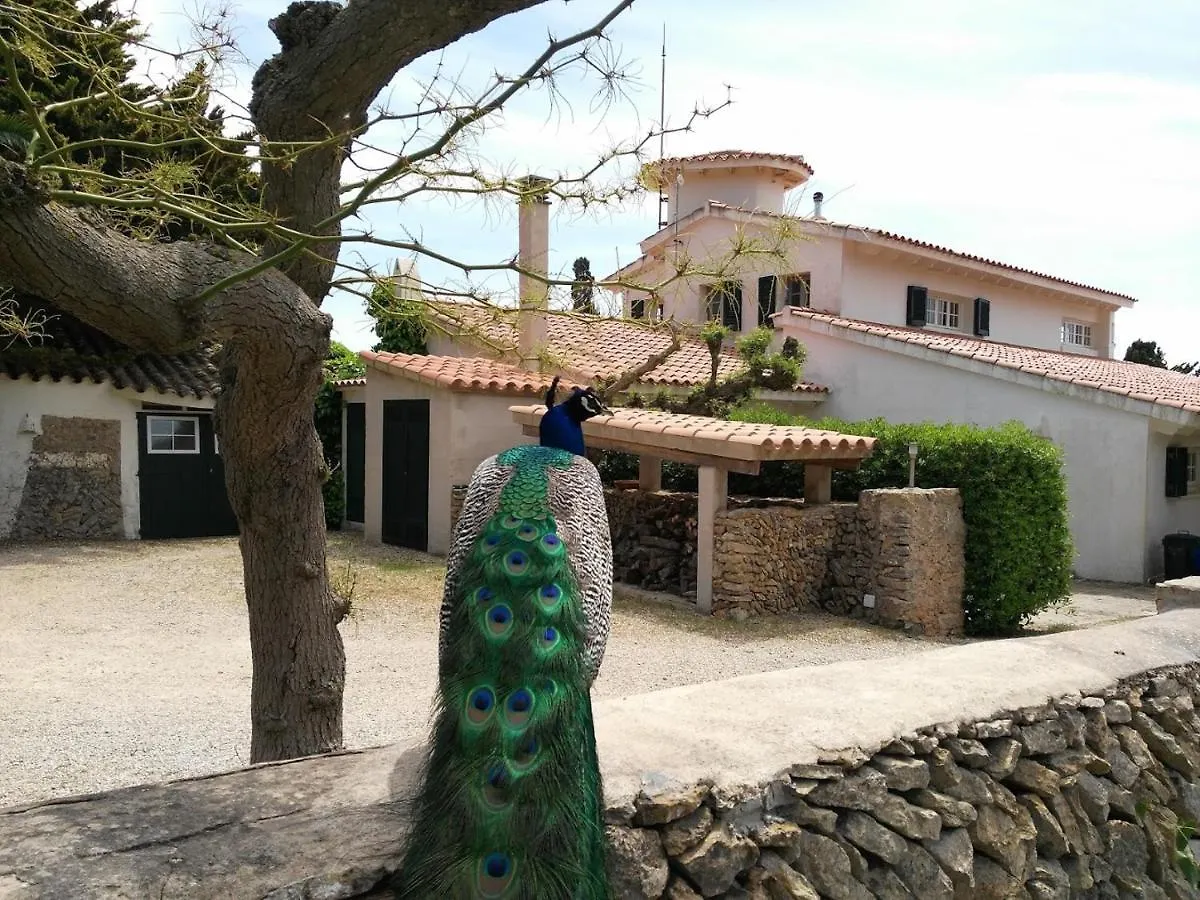 Villa Finca Son Temet Es Mercadal Spanje